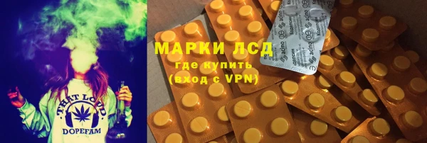 дмт Белокуриха