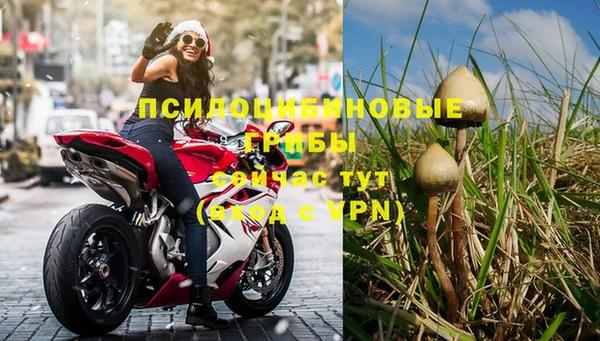 гашик Беломорск